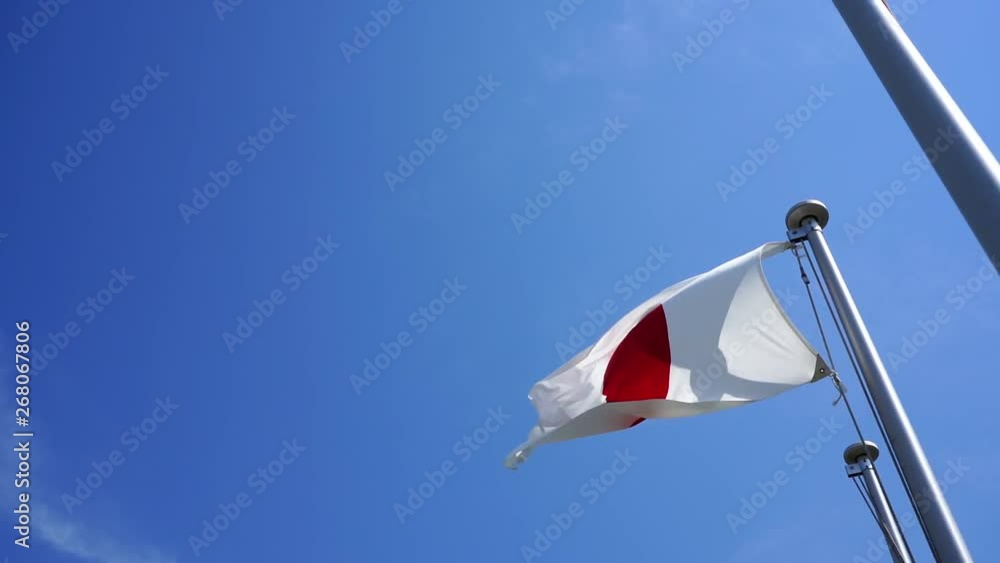 風で揺れる日本国旗 Stock Video | Adobe Stock