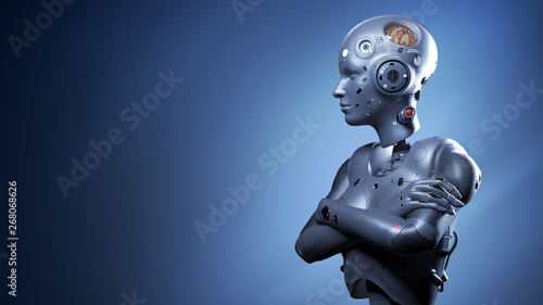 robot woman, sci-fi woman digital world of the future of neural networks and the artificial intelligence 3d render