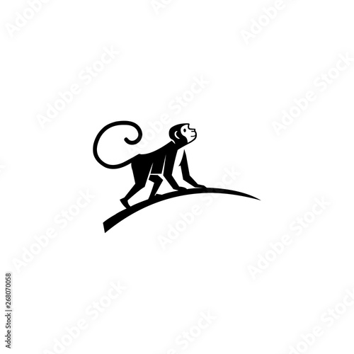 monkey vector icon photo