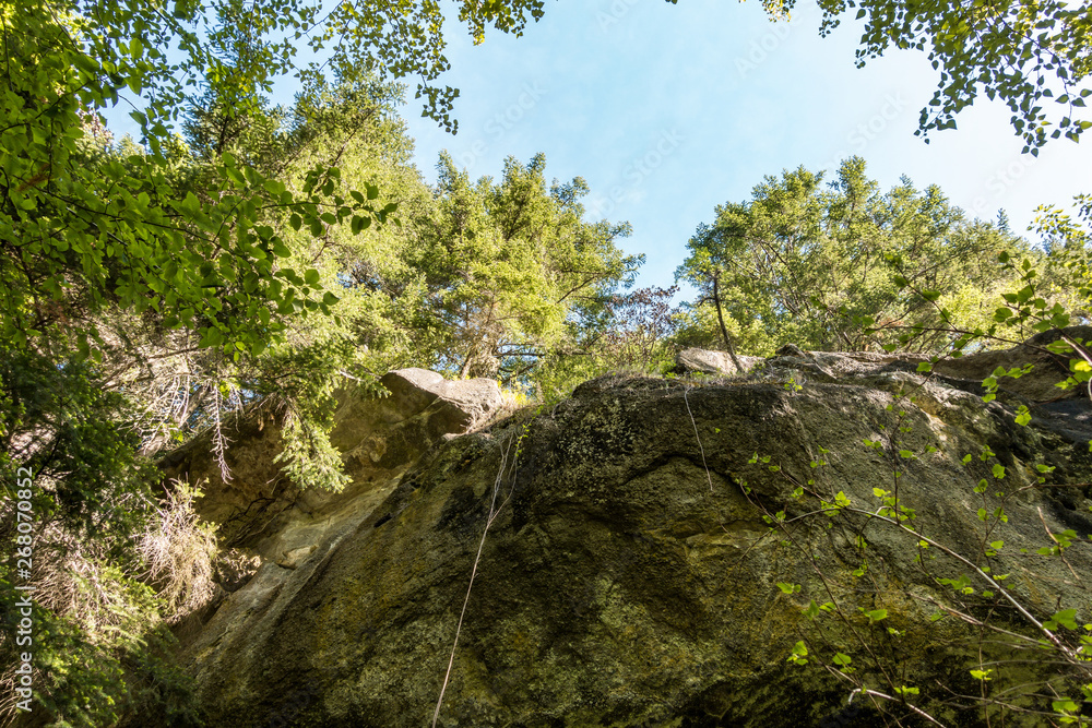 look over head of green moss covered cliff face inside forest under blue sky look over head of green moss covered cliff face inside forest under blue sky