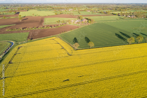 Drones flight and aerial view over a rape field