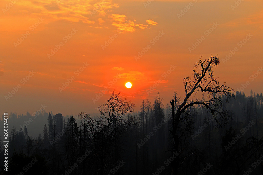 Fototapeta premium Beautiful Yosemite sunset 