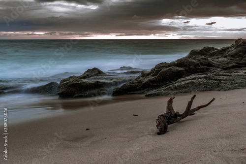 A piece of driftwood lying on the sand during sunset at a California beach