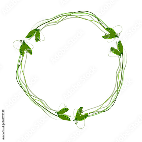  wreath of lines and peas on a white background