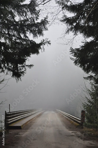 Wallpaper Mural Steel Bridge Fog and Trees V Torontodigital.ca
