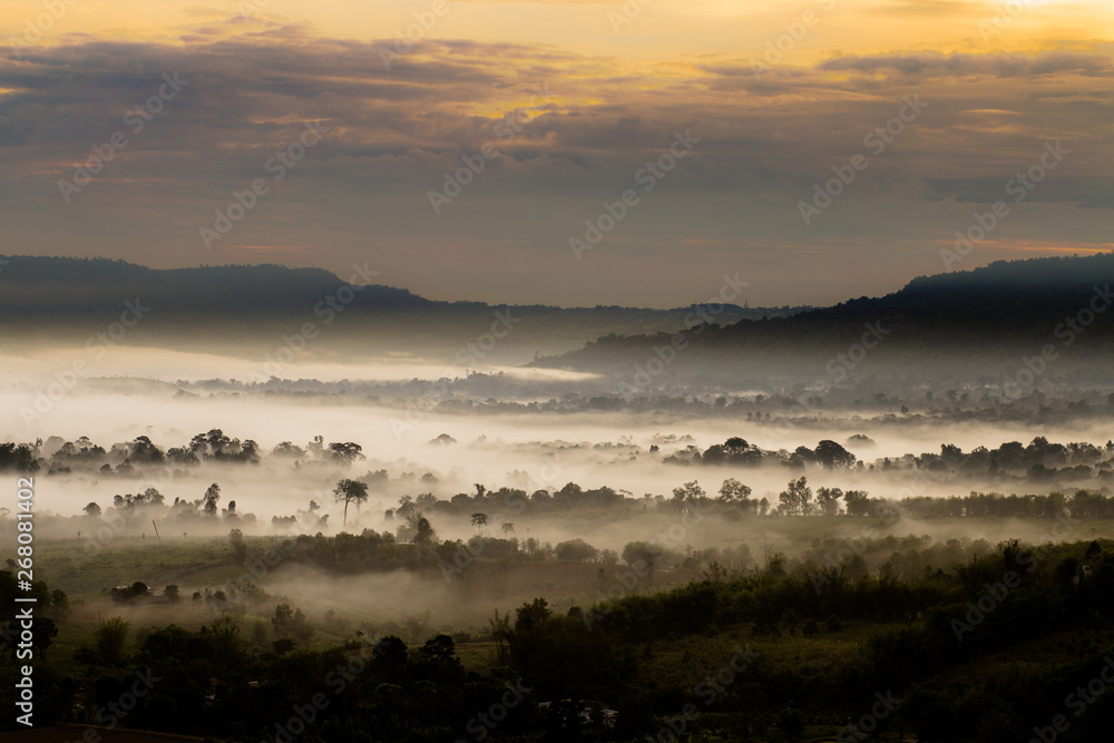 Trees cover with mist and mountain and sky background during sunrise. Trees cover with mist and mountain and sky background during sunrise.