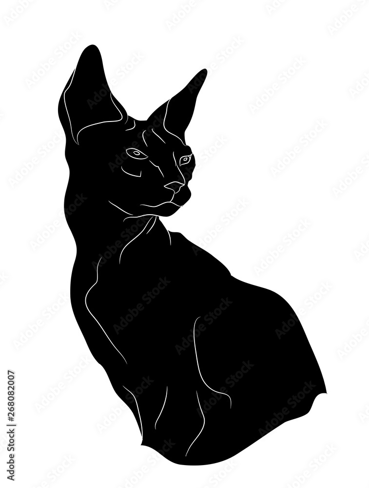 cat portrait silhouette, vector