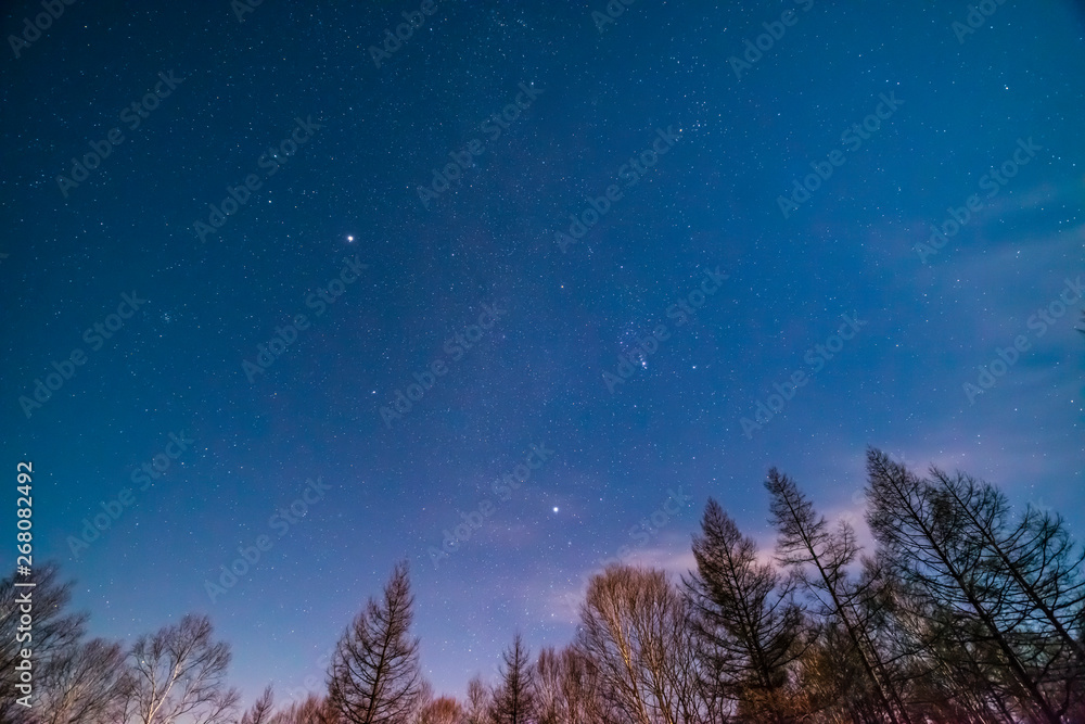 Naklejka premium 星空