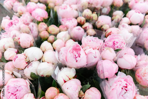 Fototapeta Naklejka Na Ścianę i Meble -  Warehouse refrigerator, Wholesale flowers for flower shops. Pink peonies in a plastic container or bucket. Online store. Floral shop and delivery concept.