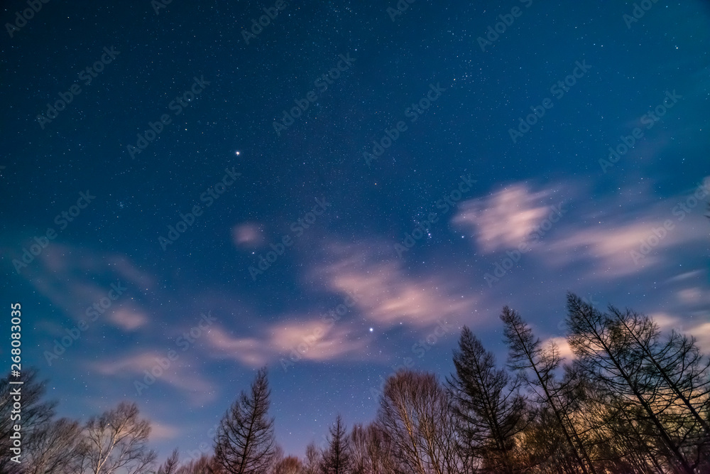 Fototapeta premium 星空