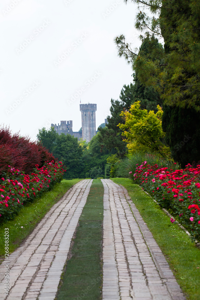 Obraz premium Rose avenue
