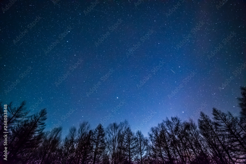 Naklejka premium 星空