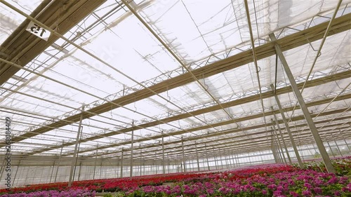 Wallpaper Mural Opening the roof in a large modern greenhouse, the process of opening the roof in a large modern greenhouse Torontodigital.ca