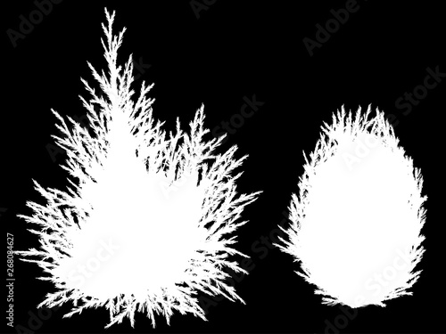 juniper silhouettes isolated on black