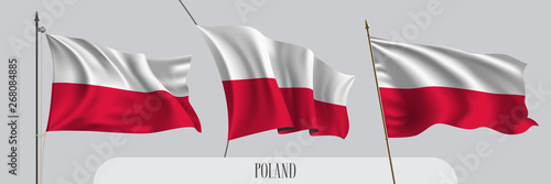 Set of Poland waving flag on isolated background vector illustration