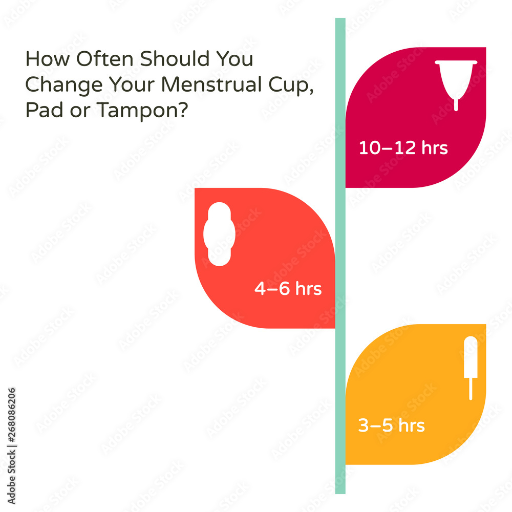 Vector Infographics for Woman Health. Text How Often Should You Change Your  Sanitary Tampons, Pads, Cups for Intimate Feminine Hygiene in Blood Period.  Menstruation, Menstrual Cycle. Stock Vector | Adobe Stock