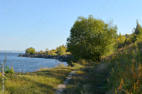 Fototapeta Naklejka Na Ścianę i Meble -  Beautiful landscape with willow tree on hilly river bank.
