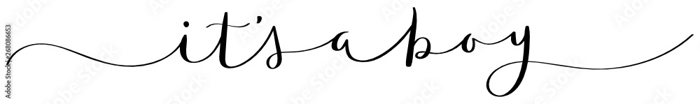 Fototapeta premium IT'S A BOY black vector brush calligraphy banner
