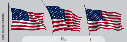 Set of USA waving flag on isolated background vector illustration