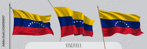 Set of Venezuela waving flag on isolated background vector illustration
