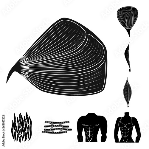 Vector illustration of human and body  logo. Set of human and cells stock symbol for web.