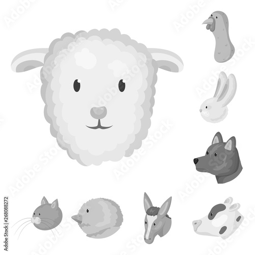 Vector design of countryside and homestead sign. Set of countryside and breeding stock vector illustration.