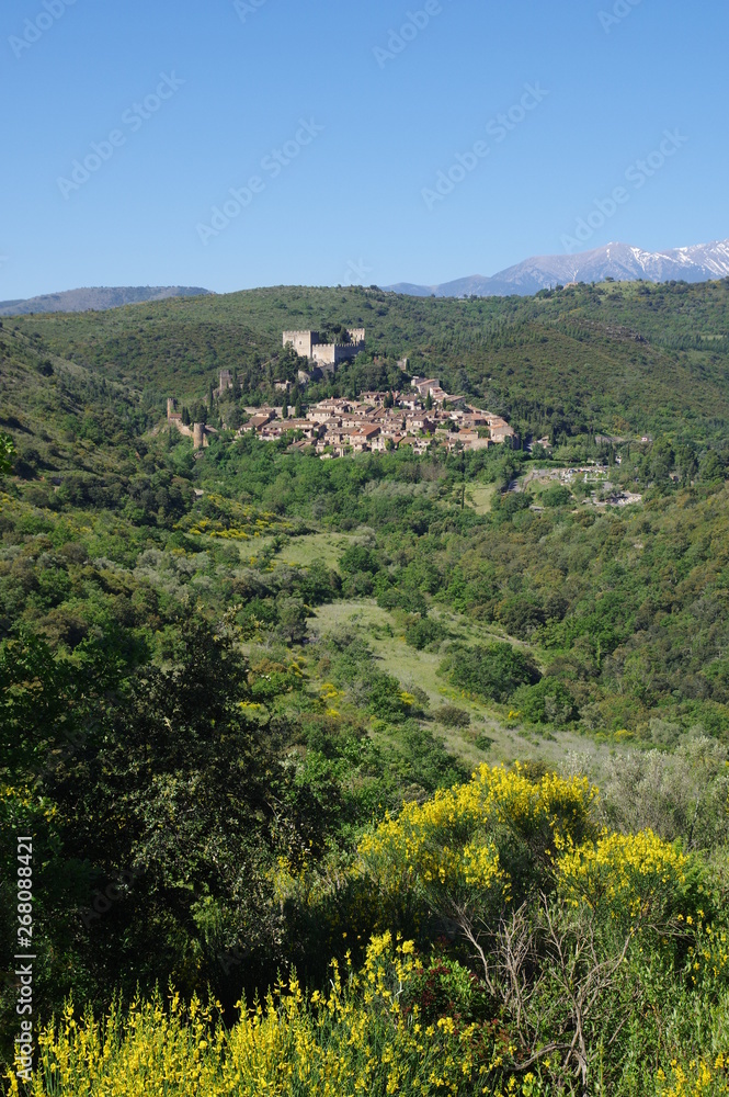 Obraz premium village et château médiéval de castelnou en montagne en france
