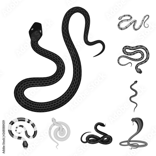 Wallpaper Mural Isolated object of harm and bite logo. Set of harm and reptile stock symbol for web. Torontodigital.ca