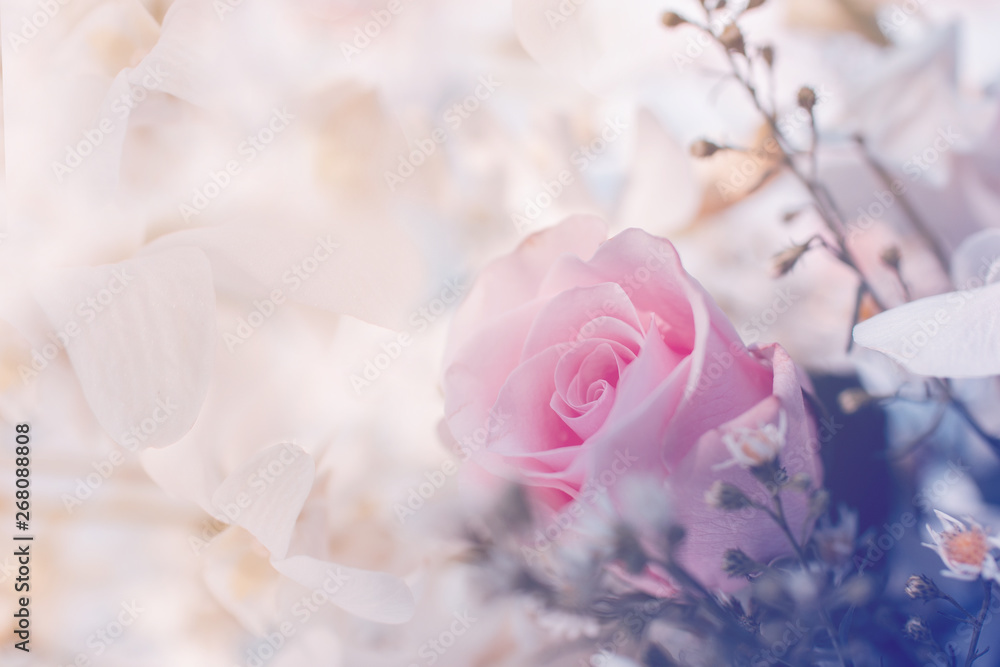 Fototapeta Bouquet roses soft blur background beautiful flowers vintage pastel tones