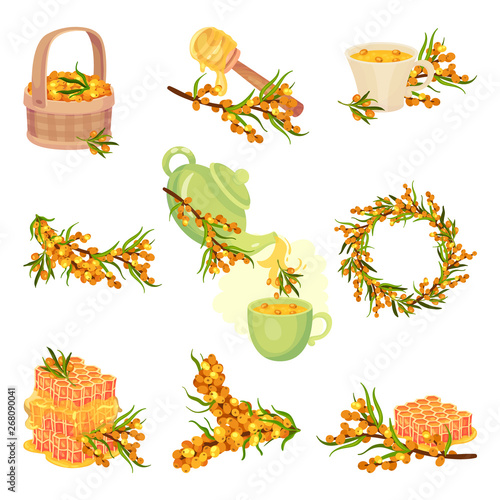 Set of images of sea buckthorn, tea and honey from it. Vector illustration on white background.
