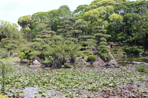 japon 