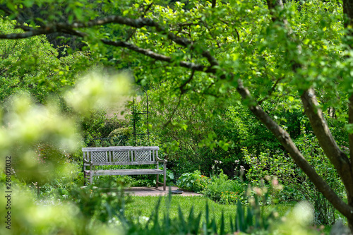 Sunny view of an idyllic, beautiful green and growing  springtime garden with a wooden bench and grass, trees and flowers on a sunny day