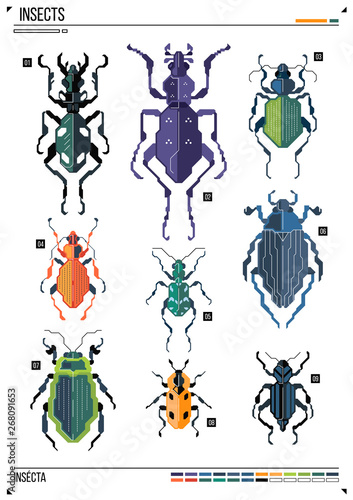 Vector geometric bug or beetle. Insect on poster background. Ideal for print, greeting card, nursery poster. © Andrew Derr