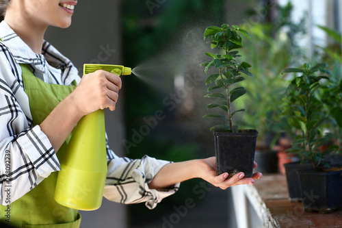 Beautiful female gardener w...