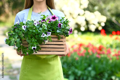 Beautiful female gardener w...