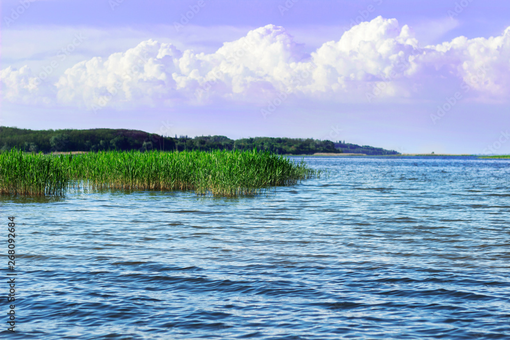 landscape of the river and reed islands