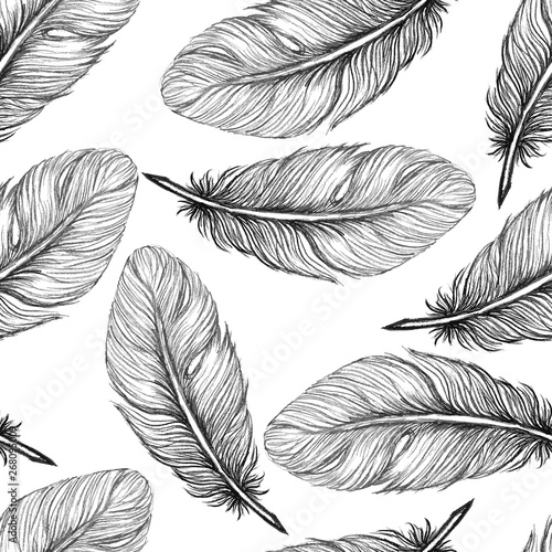 Beautiful seamless hand drawn feather pattern vector
