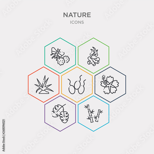 simple set of bamboo sticks, leaf monstera, hibiscus, fertilize clinic icons, contains such as icons yucca, camping bonfire, pollen and more. 64x64 pixel perfect. infographics vector
