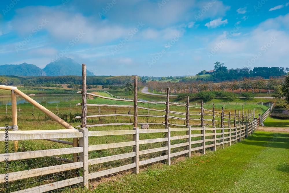 Wooden fence and vast grassland on the farm