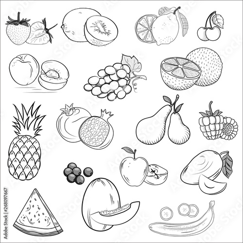 Fototapeta Naklejka Na Ścianę i Meble -  Set of icons drawn fruit. orange, peach, plum, banana, watermelon, pineapple, papaya, grapes cherry kiwi ango apple pear fresh food design elements