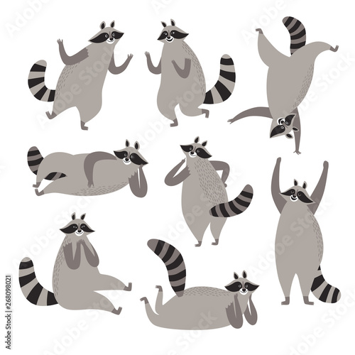 Cute cartoon raccoons set