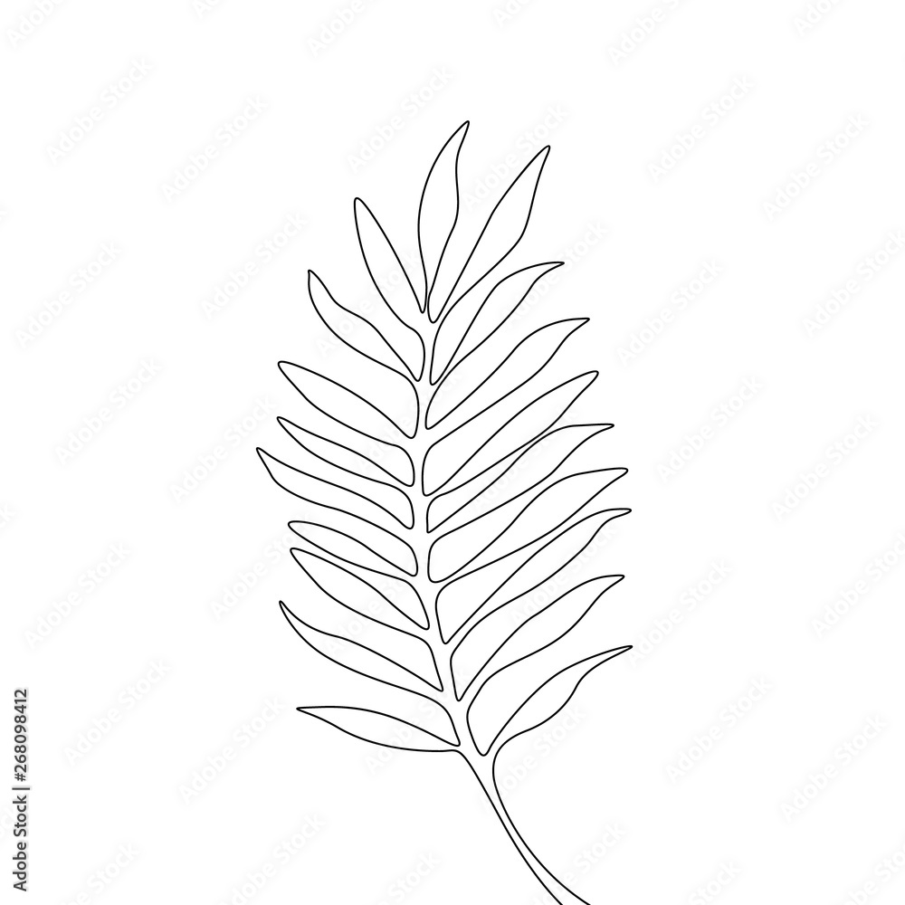Continuous one line areca leaf, exotic tropical plant Continuous one line areca leaf, exotic tropical plant