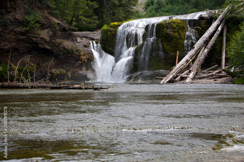 waterfall in the forest