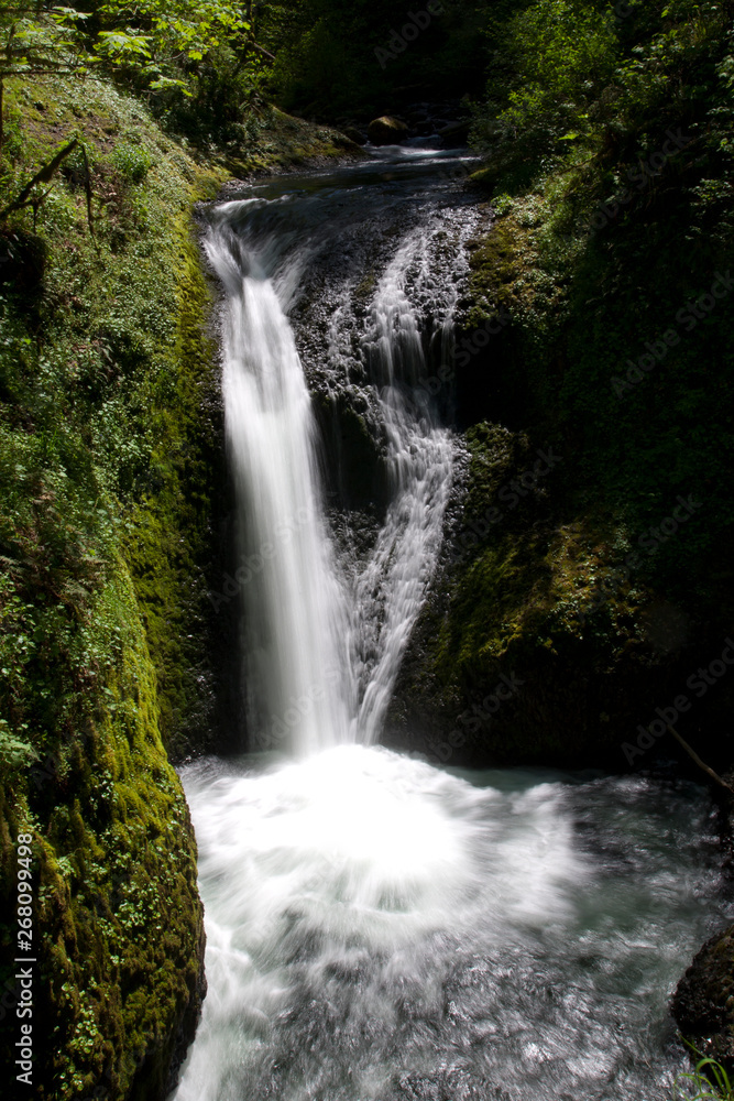 Obraz premium waterfall in the forest