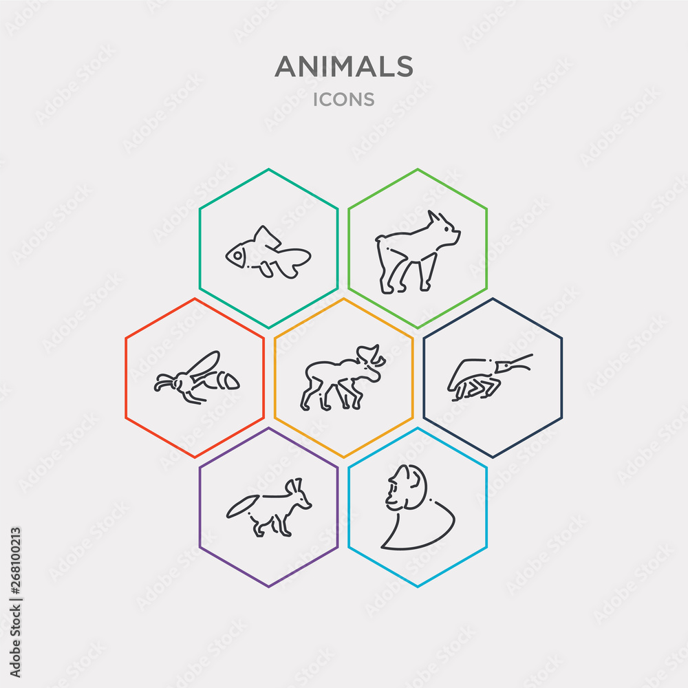 Φωτογραφία simple set of chimpanzee, fennec fox, shrimp, moose icons, contains such as icons wasp, bulldog, gold fish and more