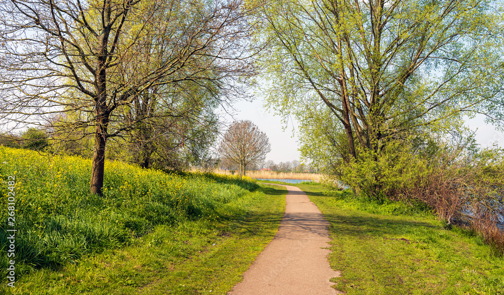 Naklejka premium Curved path next to the water
