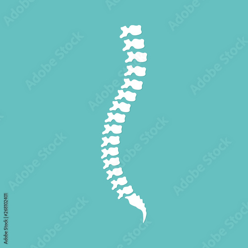 Vector human spine icon silhouette