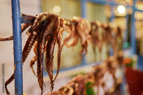 Fototapeta Naklejka Na Ścianę i Meble -  Octopus tentacles dried in a Greek tavern on the street in Greece.