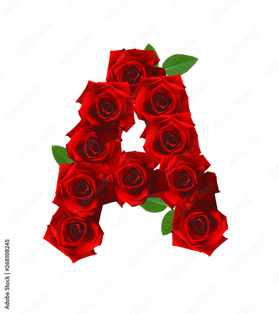 ALPHABETIC ROSE LETTERS, A TO Z , LETTER A, 3D ILLUSTRATION Stock Photo