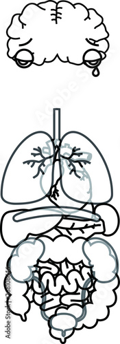 Illustration of cute human organs outline